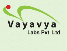 vayavya labs logo
